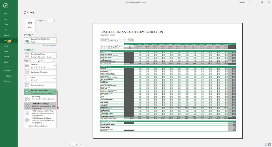 Fit Sheet Microsoft Excel 2016